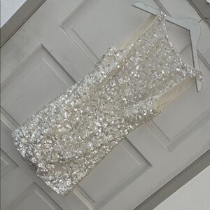 Stone Cold Fox Sequin Mini Dress in Silver